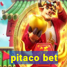 pitaco bet